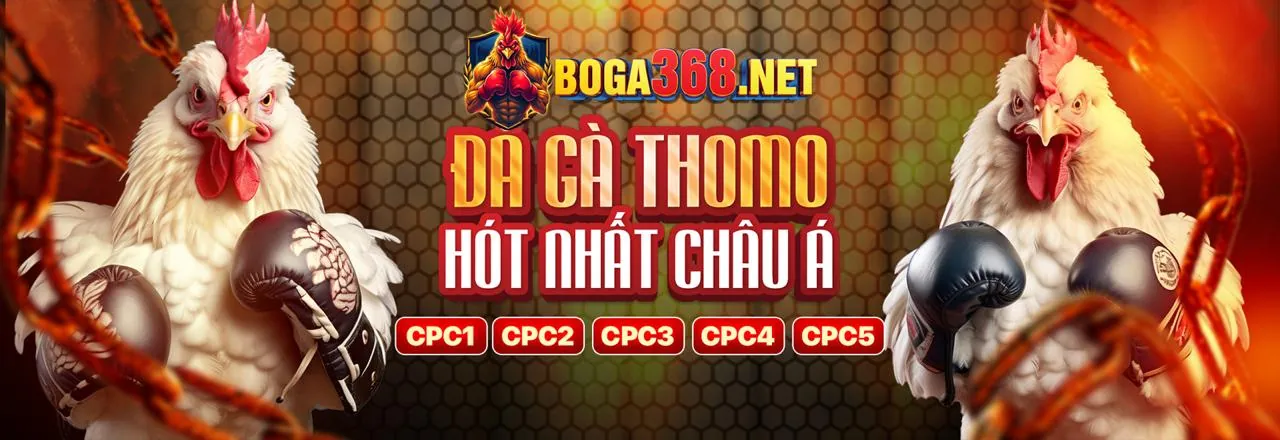 Đá gà trực tiếp 888k tại trường gà uy tín